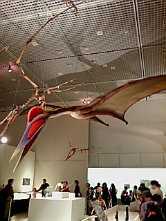 20071103121411.jpg